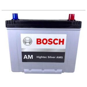 Batería Bosch Caja 49 100 Ah AMS 1350