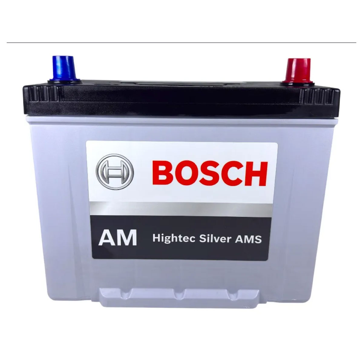 Batería Bosch Caja 49 100 Ah AMS 1350