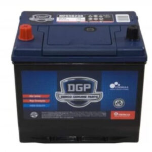 Batería DGP Caja 24 Polaridad Derecha